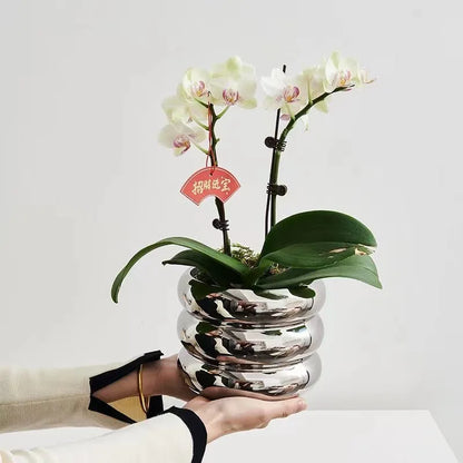 Simple ceramic desktop vase with silver finish for home office