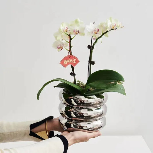 Simple ceramic desktop vase with silver finish for home office
