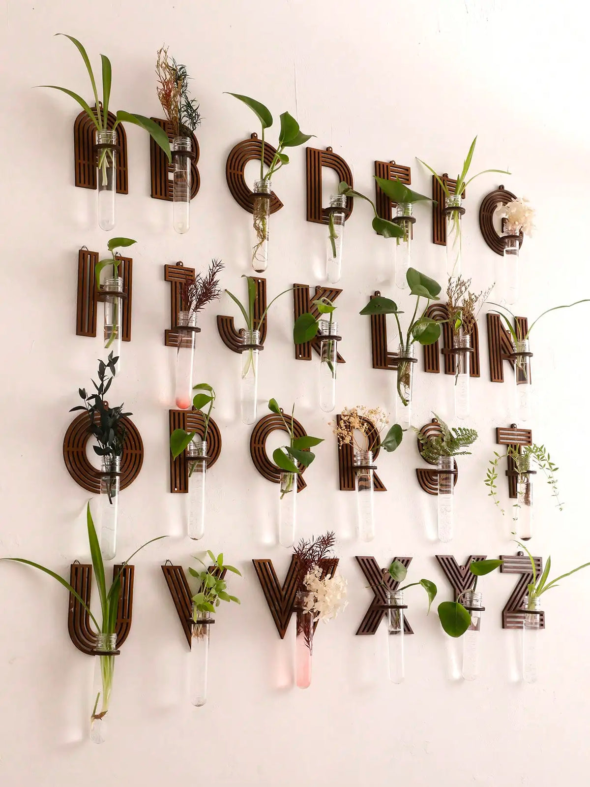 Alphabet letter wood propagation station close-up of glass tube with roots visible