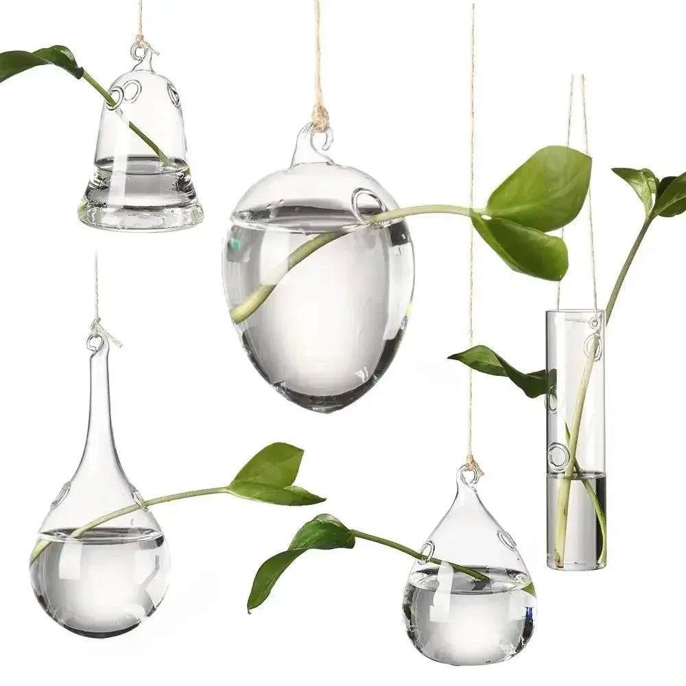 Hanging glass terrarium vase hydroponic plant gift decoration