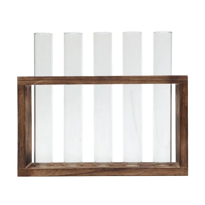 Glass tube hydroponic planter with growing herbs on contemporary shelf