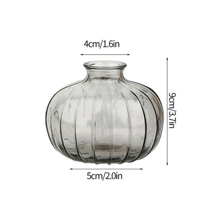 Minimalist Clear Glass Flower Vase