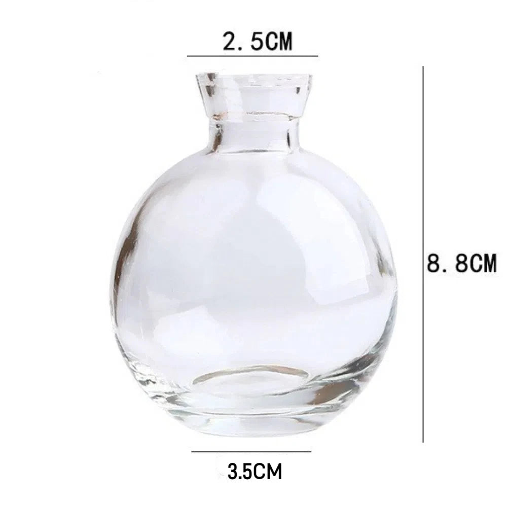 Close-up of clean glass rim on mini hydroponic flower vase