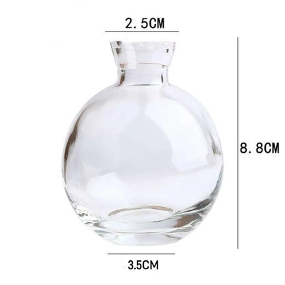 Close-up of clean glass rim on mini hydroponic flower vase