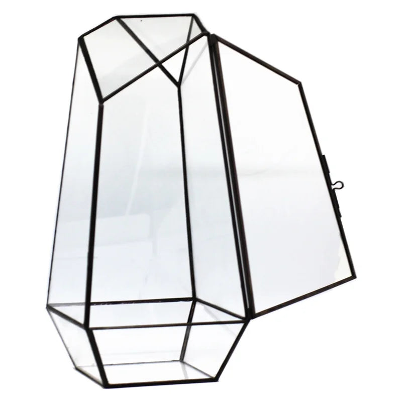 Quartz glass moss terrarium planter placed on concrete floor in sunlit modern living room