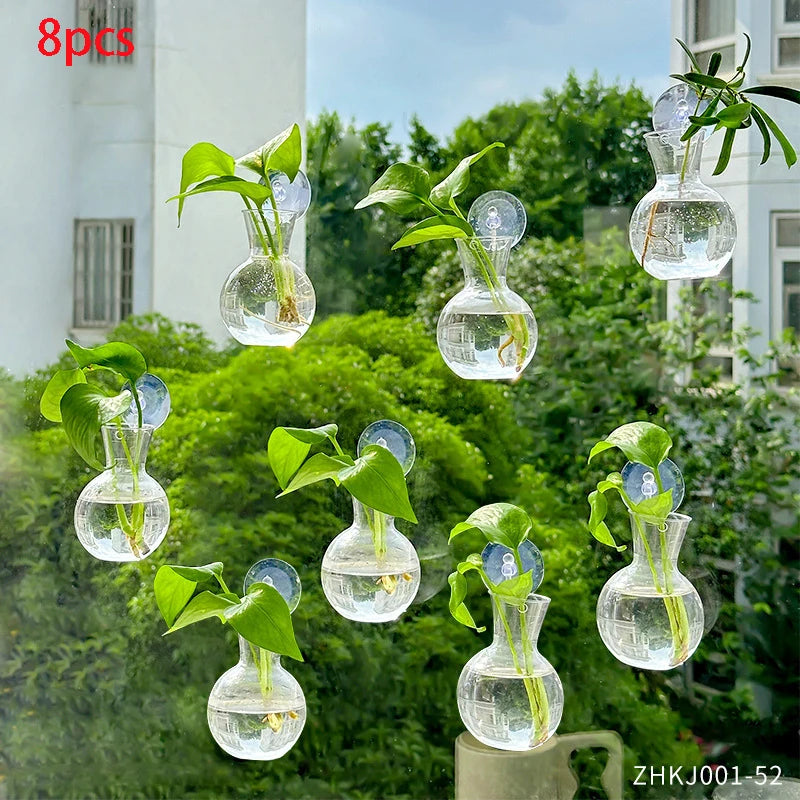 Suction cup glass gourd vase hanging hydroponic window planter
