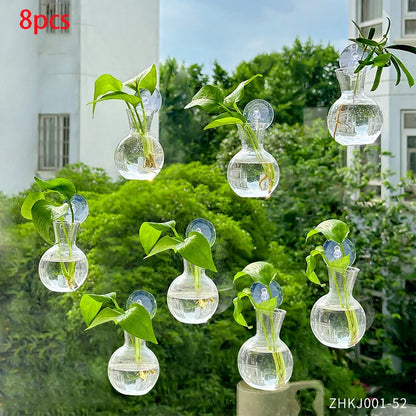 Suction cup glass gourd vase hanging hydroponic window planter