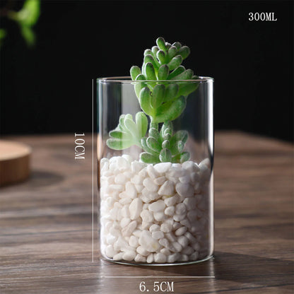 Glass Cylinder Hydroponic Desktop Vase