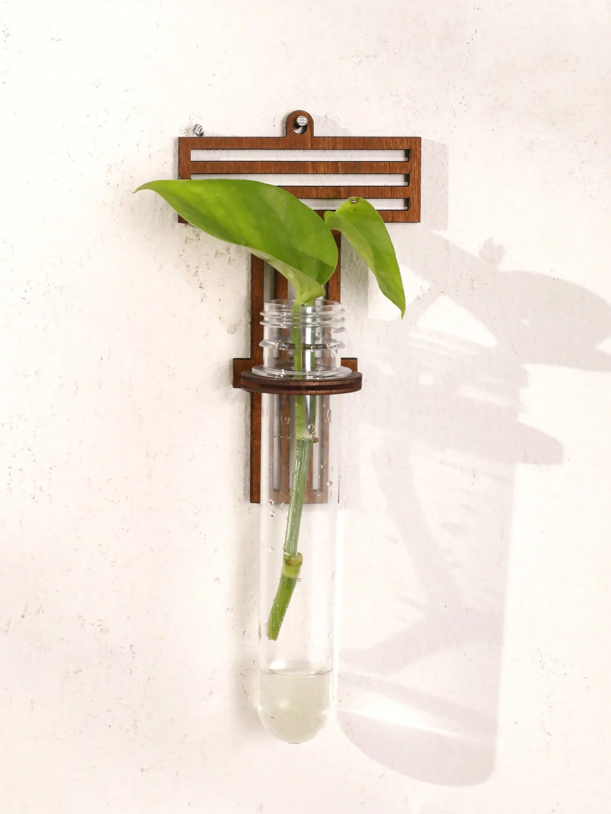 Letter propagation station angled flat lay showing wood grain and glass tube detail