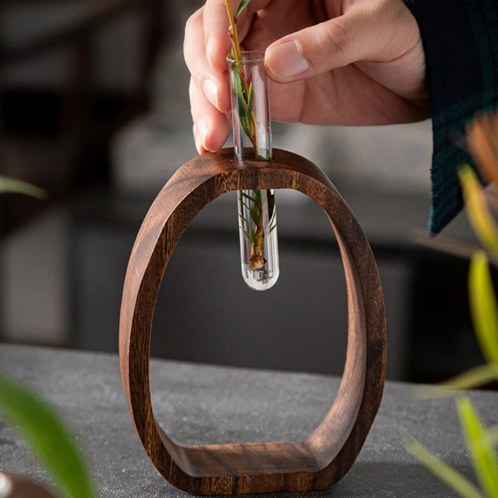 Walnut wood glass terrarium hydroponic vase set with wood base