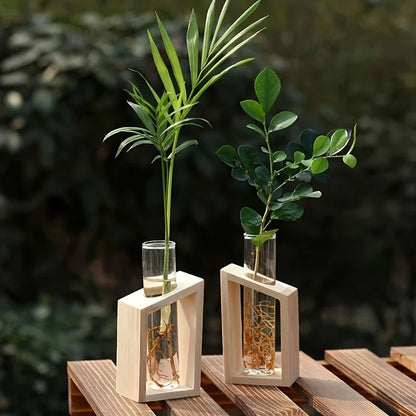 Test tube glass hydroponic vase wooden stand desktop terrarium