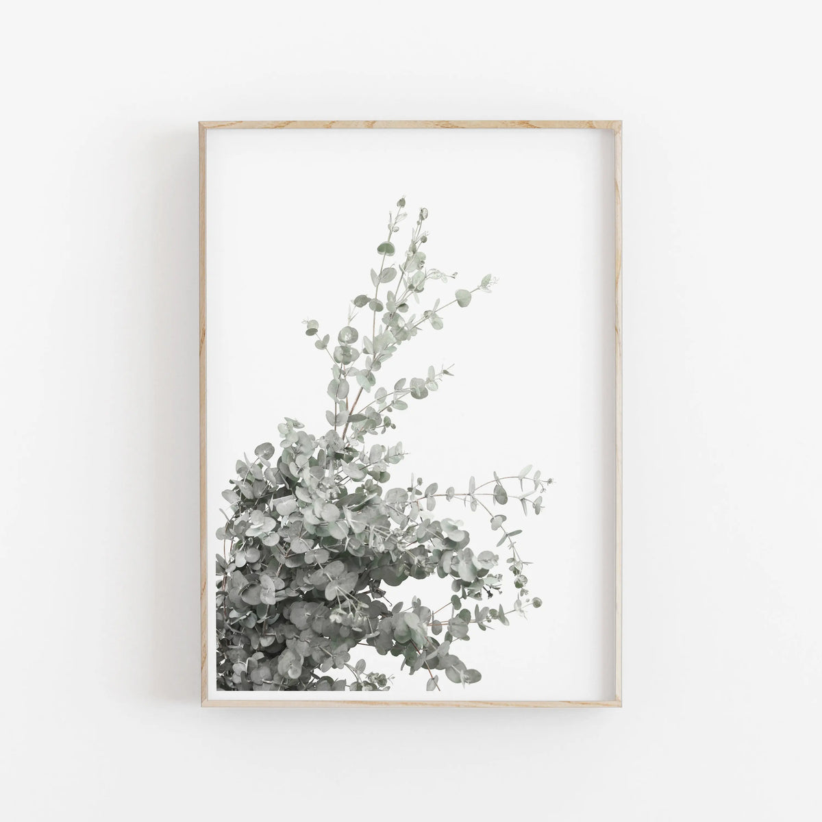 Nordic Minimalist Botanical Eucalyptus Canvas Wall Art