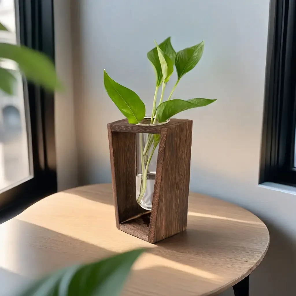 Side view of wooden propagation vase with small rooted plant in water