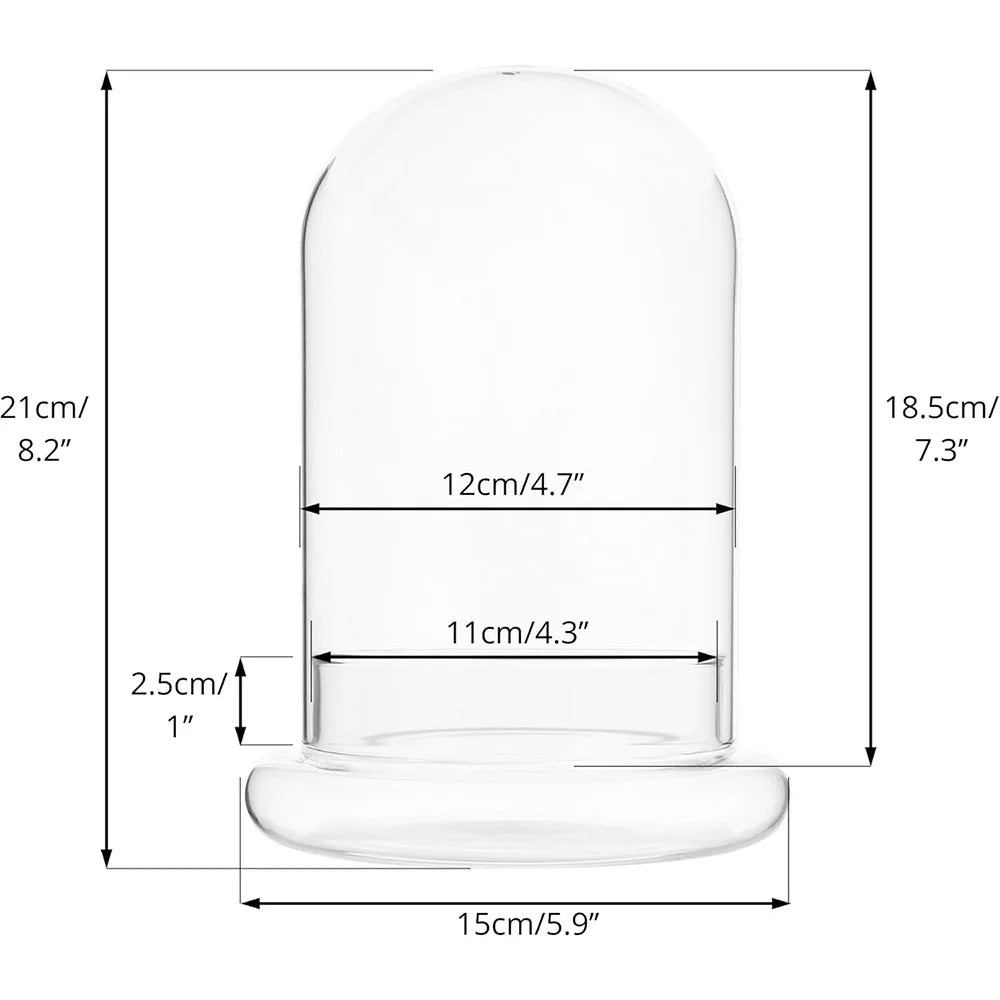 Glass bell jar terrarium available in small and large sizes on wooden shelf