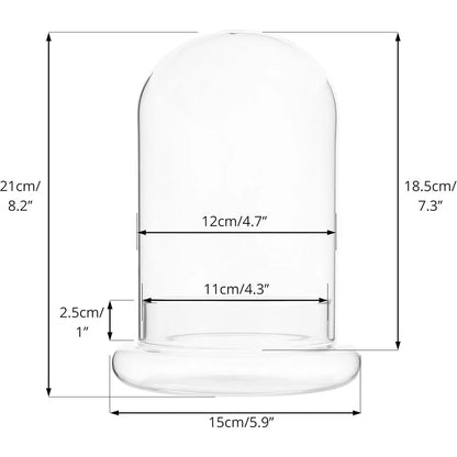 Glass bell jar terrarium available in small and large sizes on wooden shelf