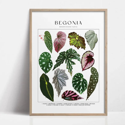 Green Botanical Houseplant Canvas Wall Art