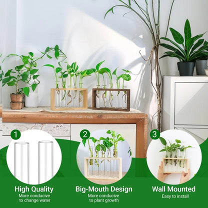 Close-up of glass tubes holding water and plant cuttings in wooden stand