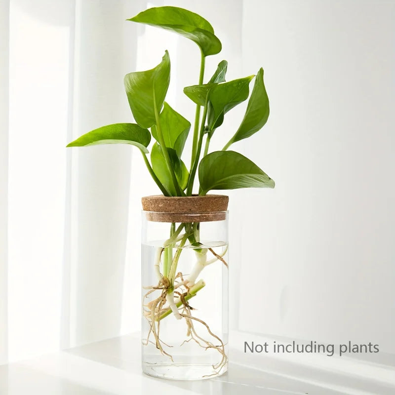 Glass bulb propagation vase on a bright kitchen windowsill with trailing stem