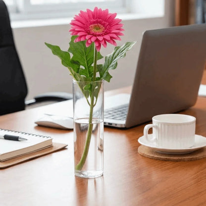 Clear plastic cylinder vase with plant cutting on modern home shelf