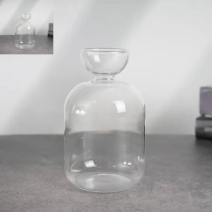 Multiple glass avocado seed vases showing different style options for indoor propagation