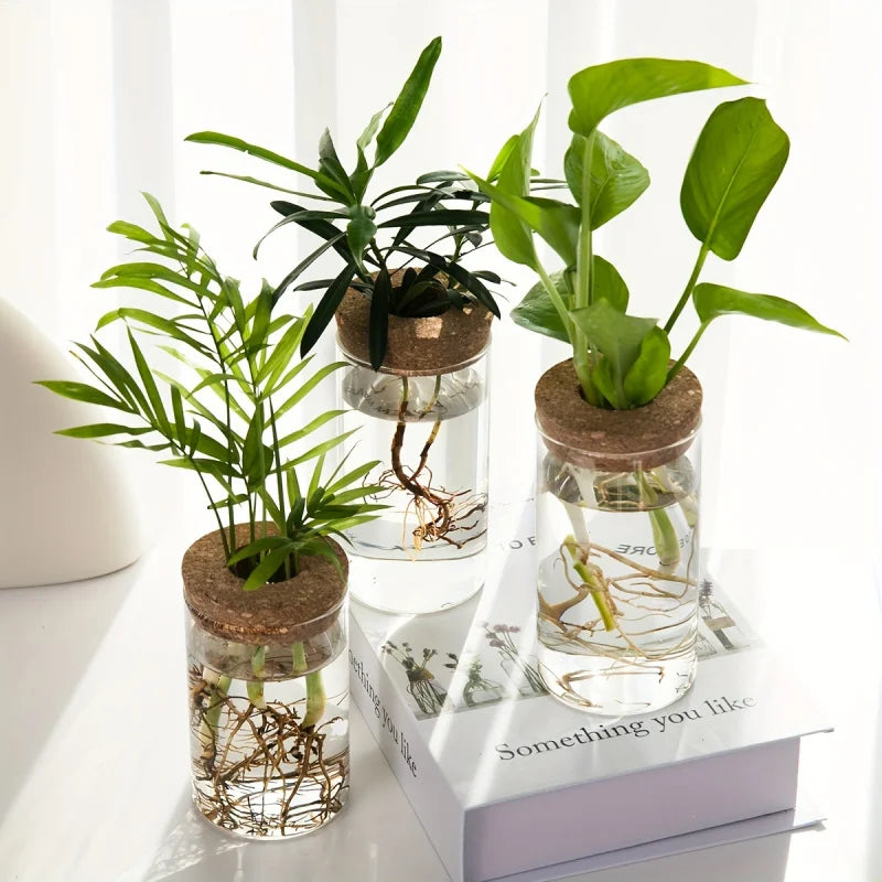 Small clear glass propagation vase showing roots growing in water close-up