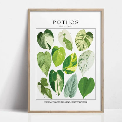 Green Botanical Houseplant Canvas Wall Art