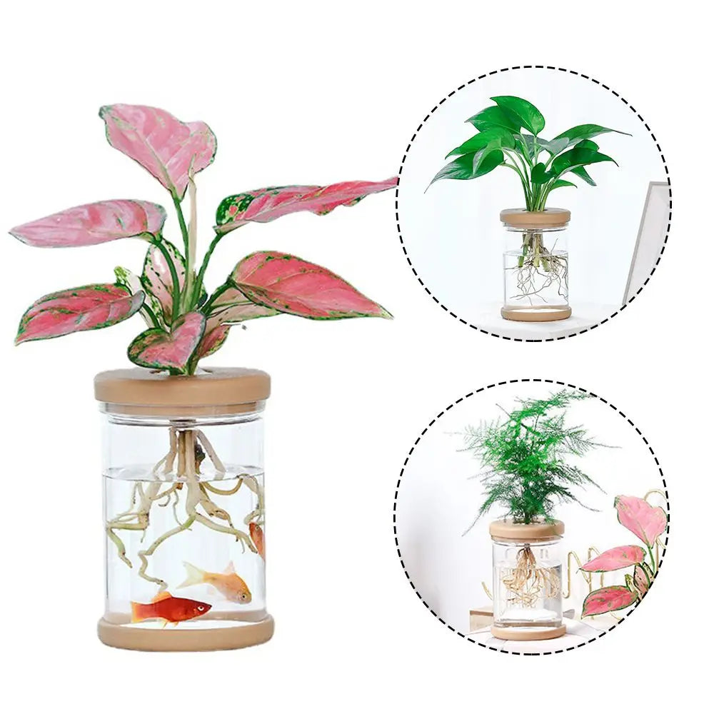 Clear plastic hydroponic vase with green plant propagation on wood surface