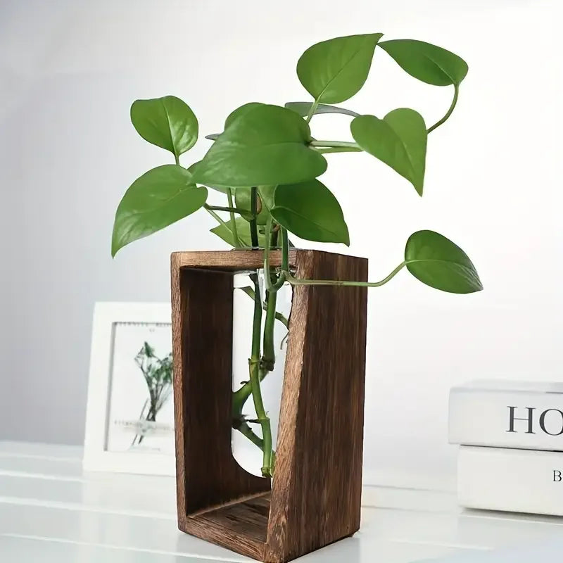Retro natural wood propagation station on light oak Japandi desk surface