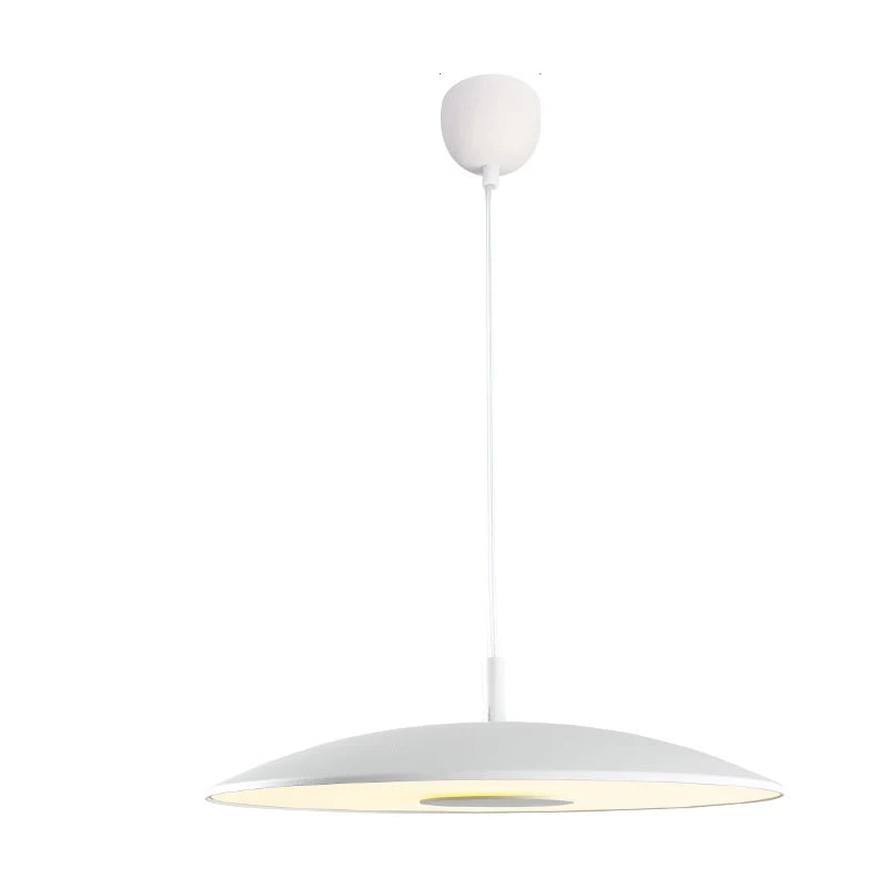 Round UFO Pendant Light