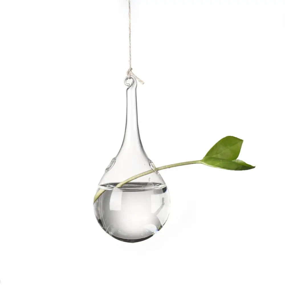 Small water droplet hanging glass vase with plant cutting near a sunny windowsill