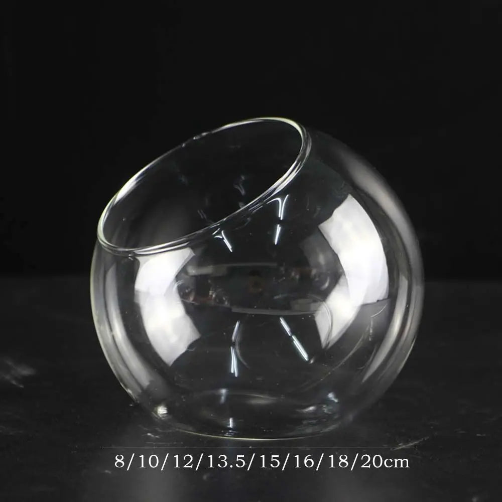 Oblique glass ball vase with hydroponic plant display