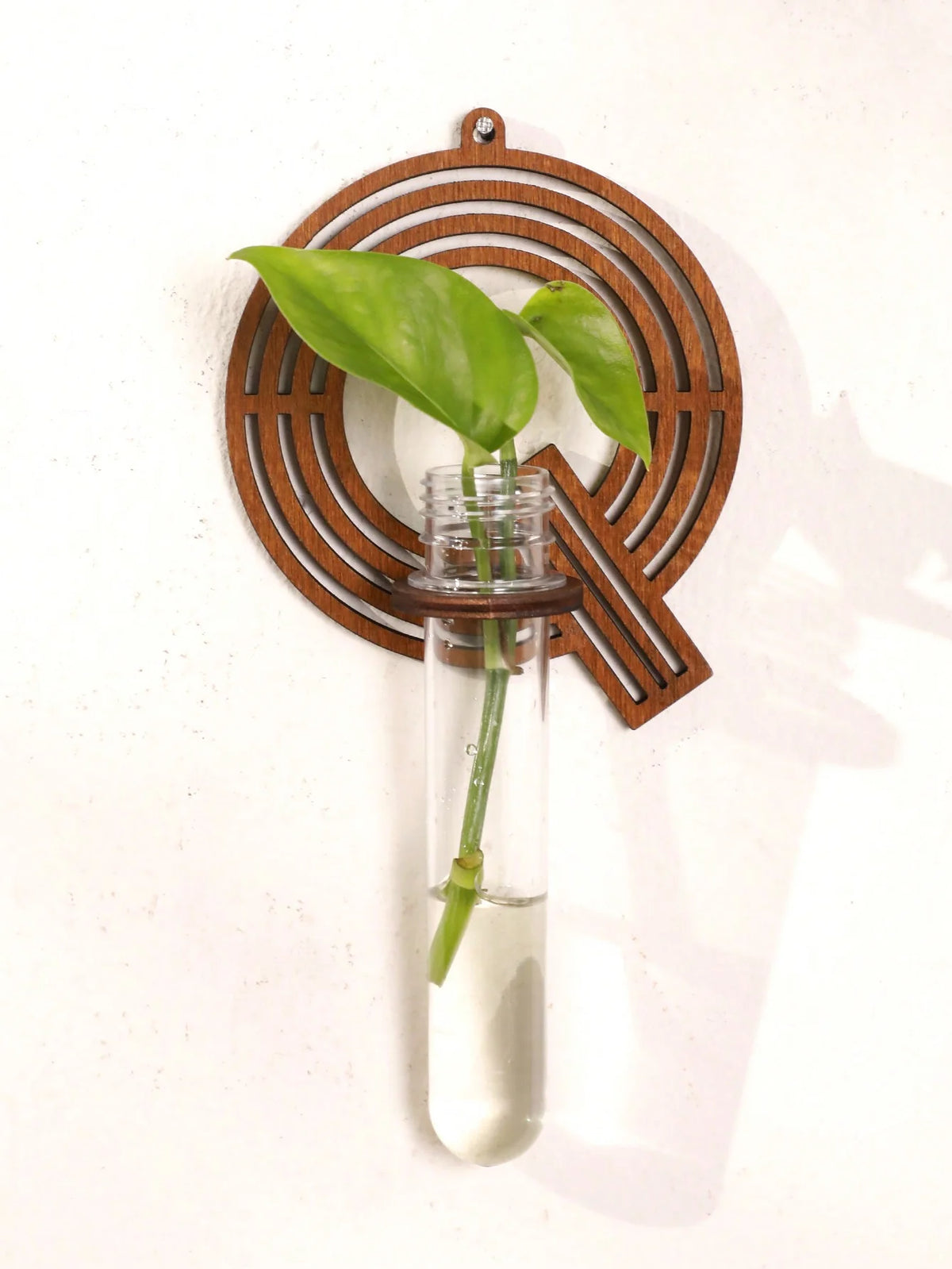 Alphabet Letter Wood Propagation Station