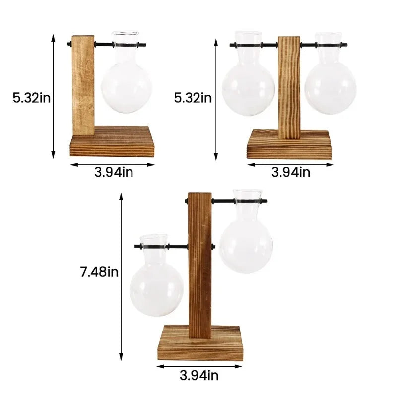 Multiple glass propagation tubes mounted on natural wooden stand for decor