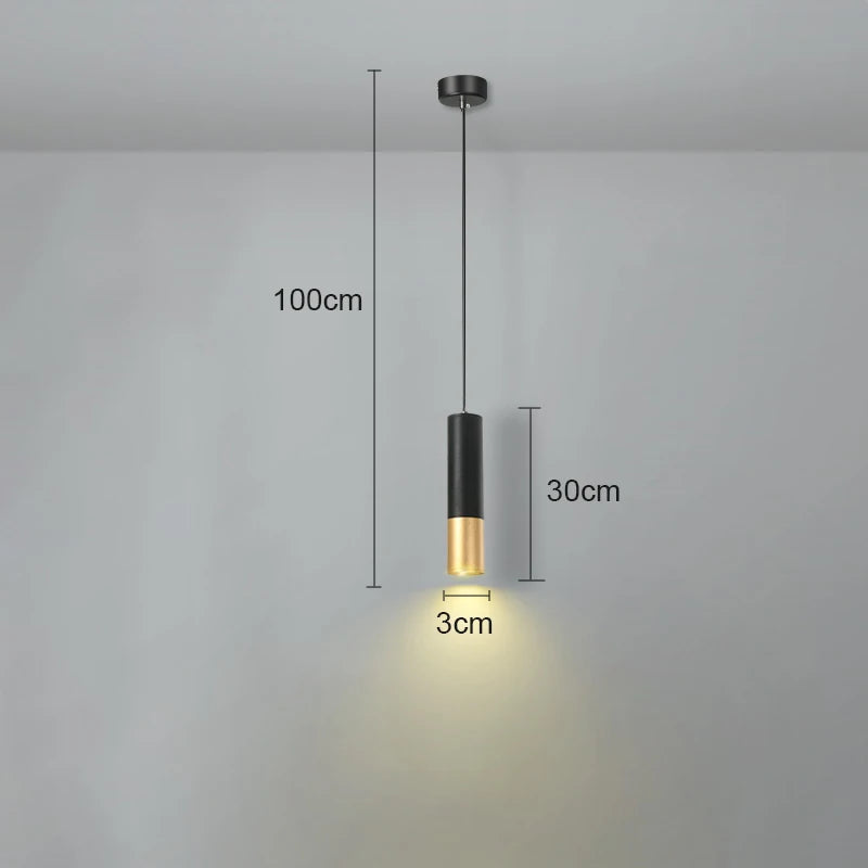 Iron Acrylic Bedside Pendant Light