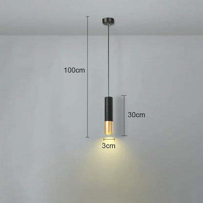 Iron Acrylic Bedside Pendant Light