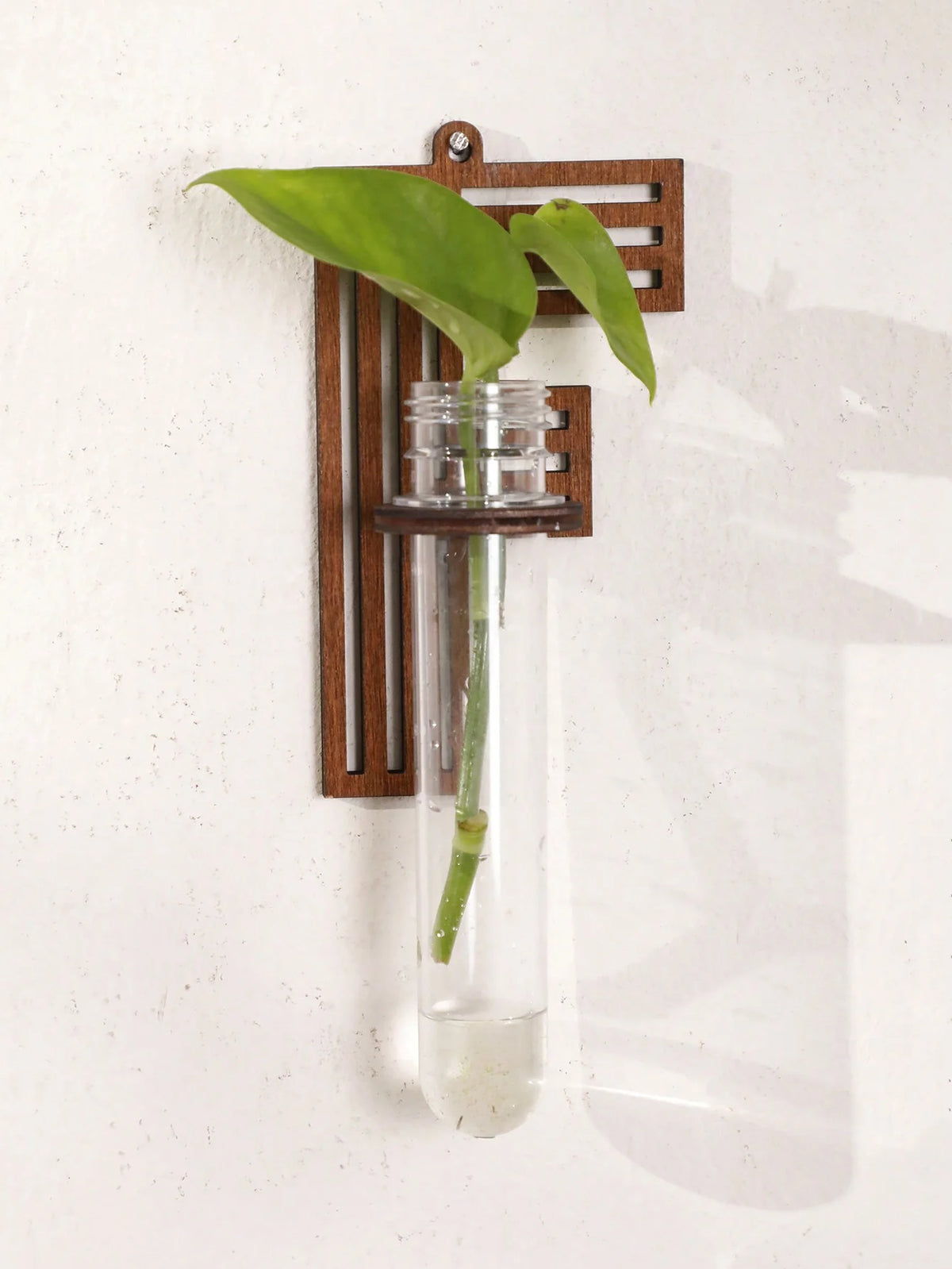 Alphabet Letter Wood Propagation Station
