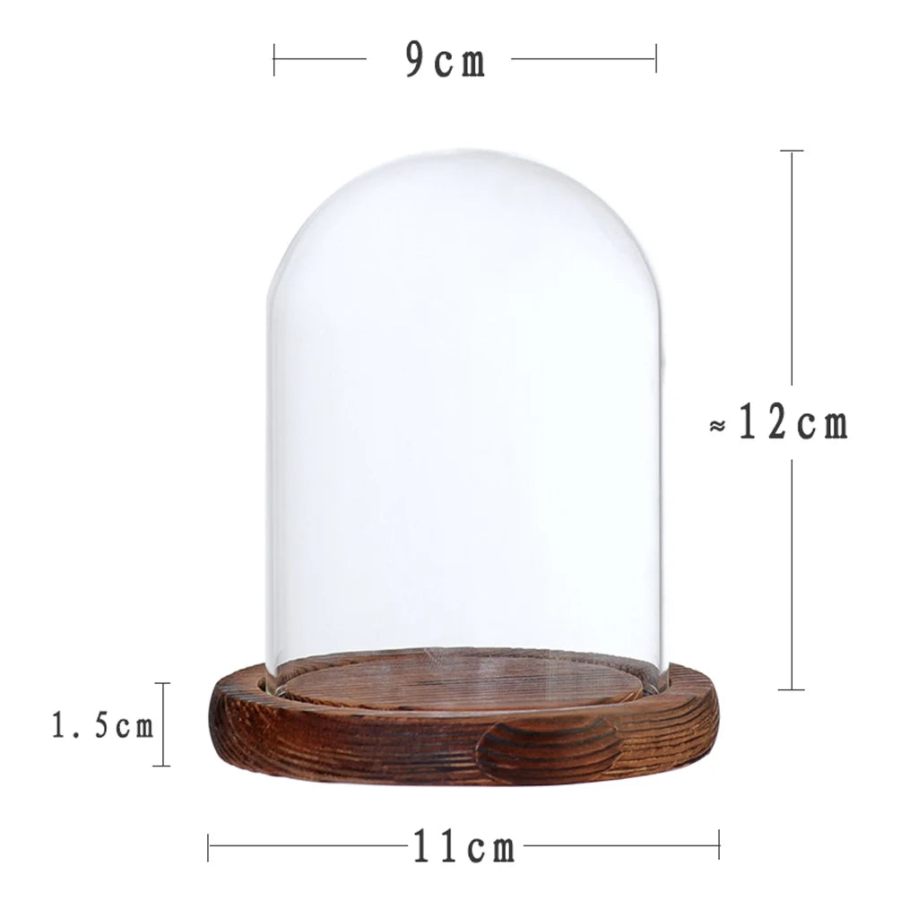 Glass cloche dome vase modern home decor display styling