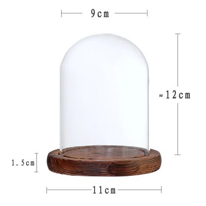 Glass cloche dome vase modern home decor display styling