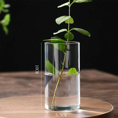 Clear Glass Cylinder Flower Vase