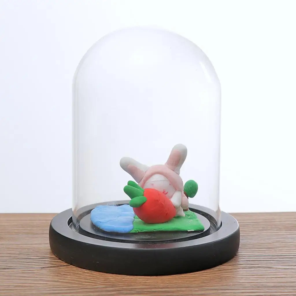 Glass cloche dome with small plants inside micro landscape