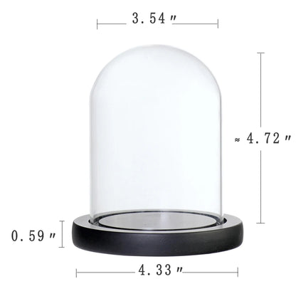 Micro landscape glass dome terrarium on minimalist shelf