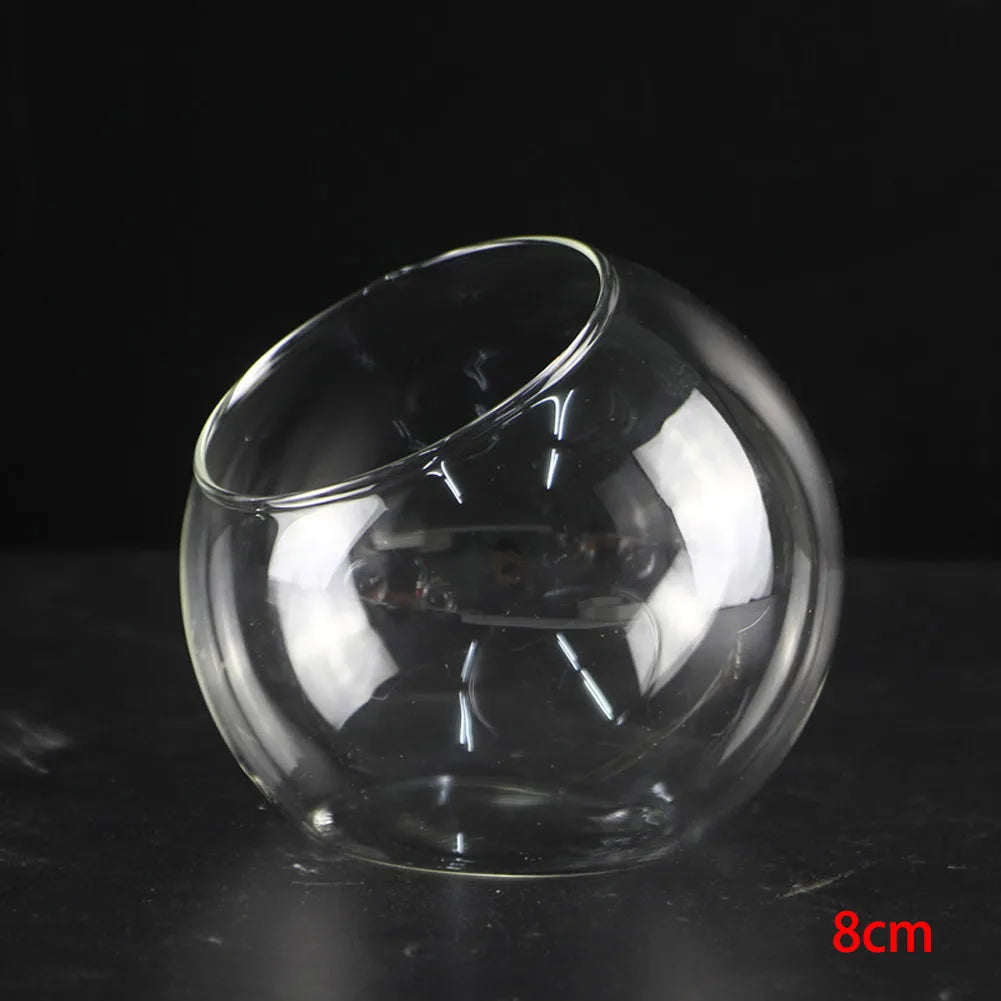Eco glass vase used as tabletop terrarium with moss and small plants