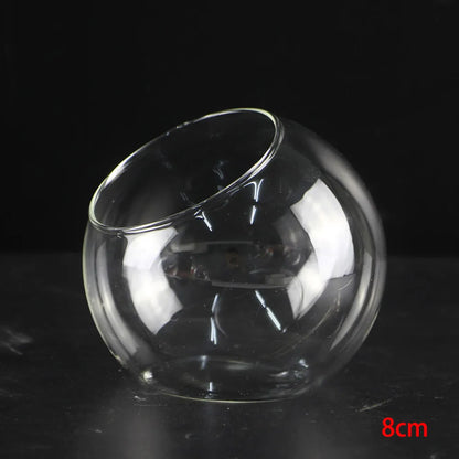 Eco glass vase used as tabletop terrarium with moss and small plants