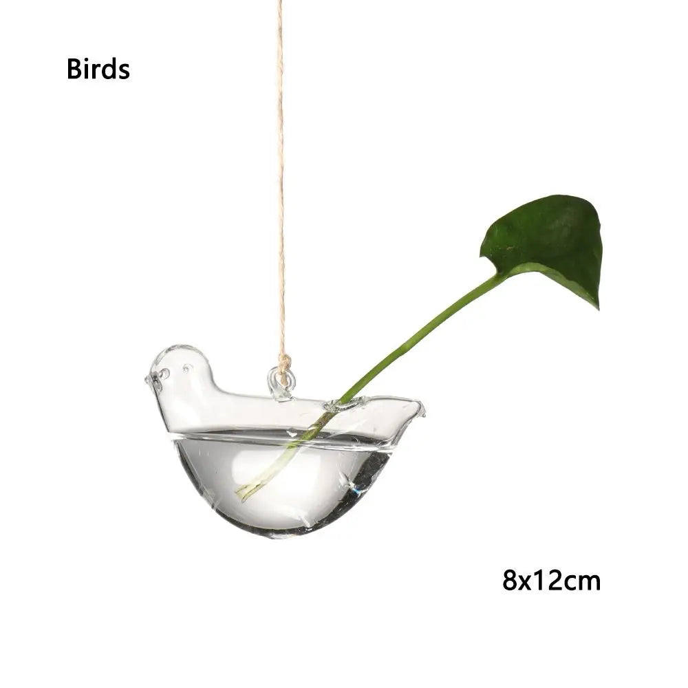 Hanging glass ball hydroponic vase flat lay of all five shapes side by side