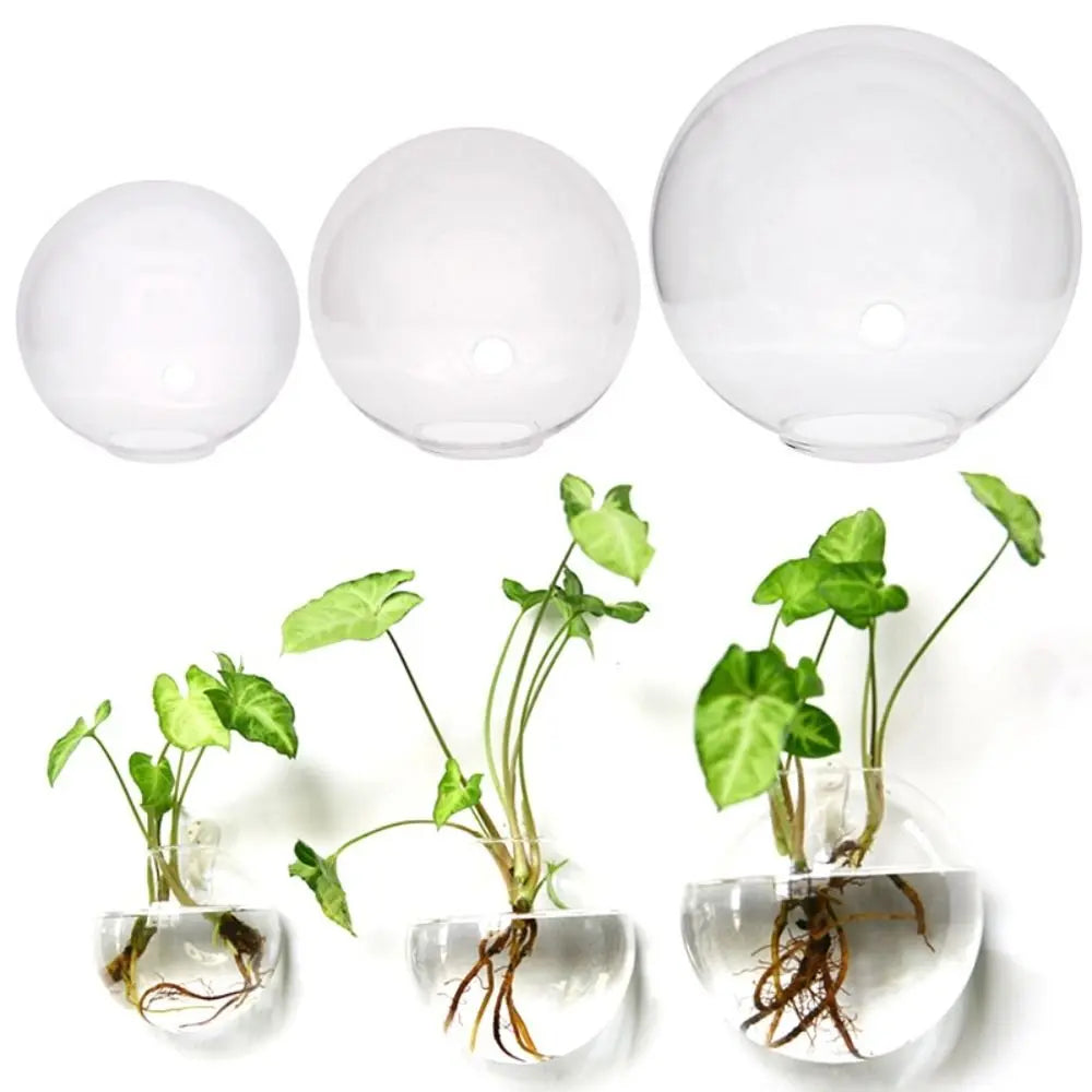 Semicircular transparent glass wall-mounted vase for small flowers and plants