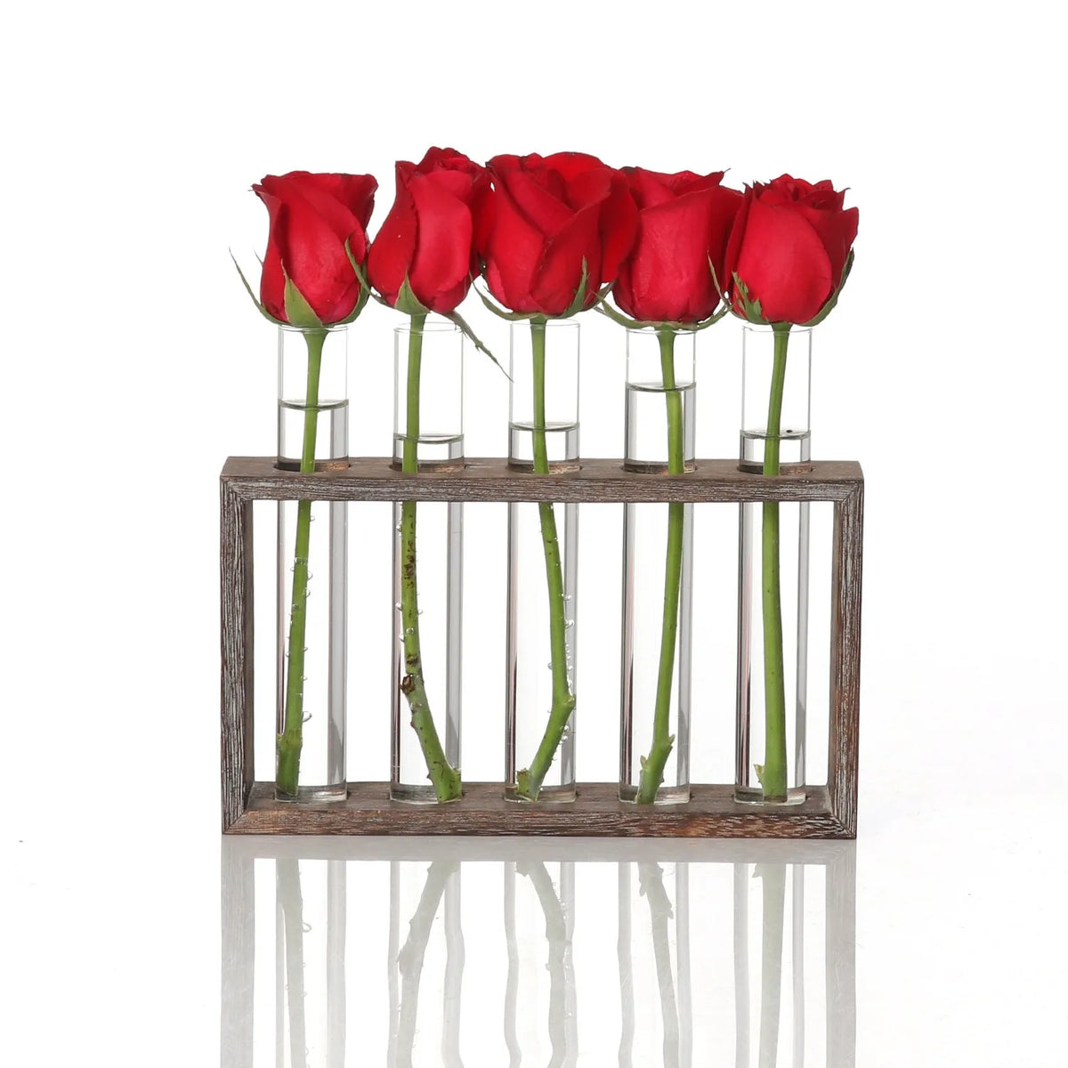 Three-tube wall planter with plant cuttings on Japandi home wall display