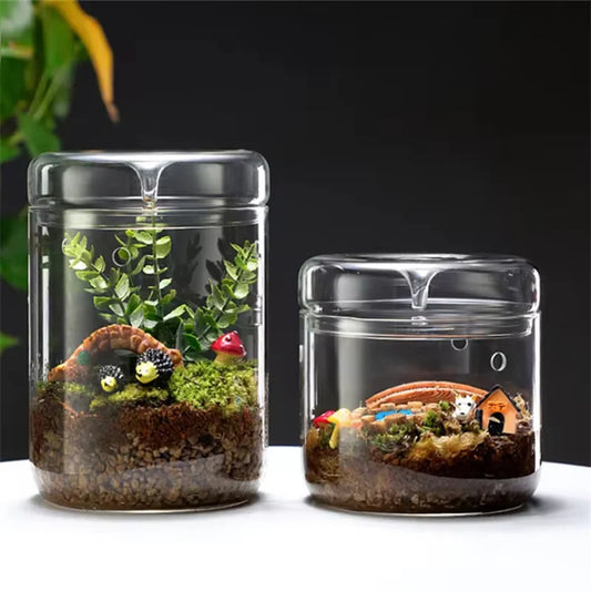 Glass dome terrarium with lid 12x12cm for moss micro landscape display