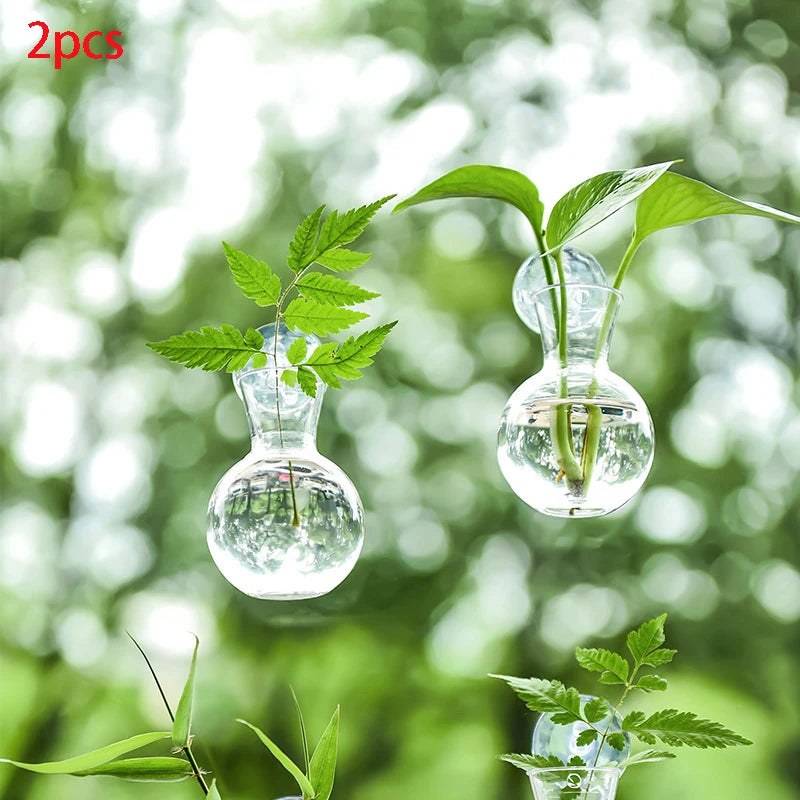 Suction cup glass gourd vase hanging hydroponic window planter