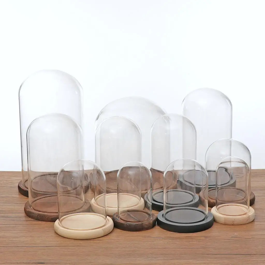 Multiple glass dome sizes with black and brown bases displayed