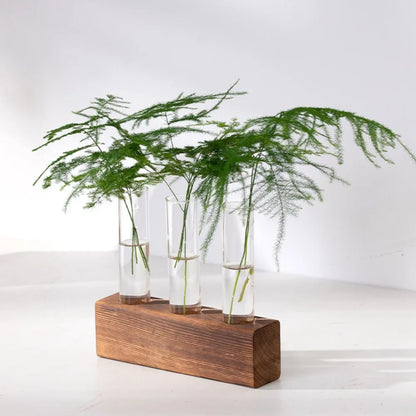 Wall-mounted glass tube propagation planter with wooden frame in boho interior